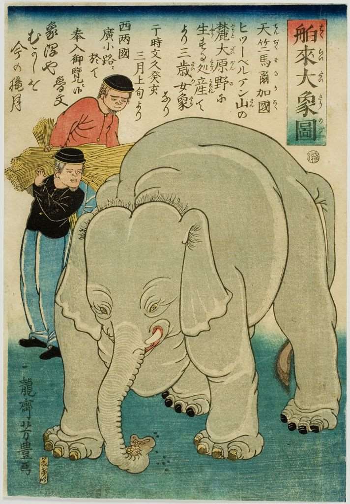 日本浮世繪中也可見到大象描繪。此圖為歌川芳豐繪江戶晚期《“新進口的大象(Hakurai daizô no zu)》。(圖:歌川芳豊 繪)