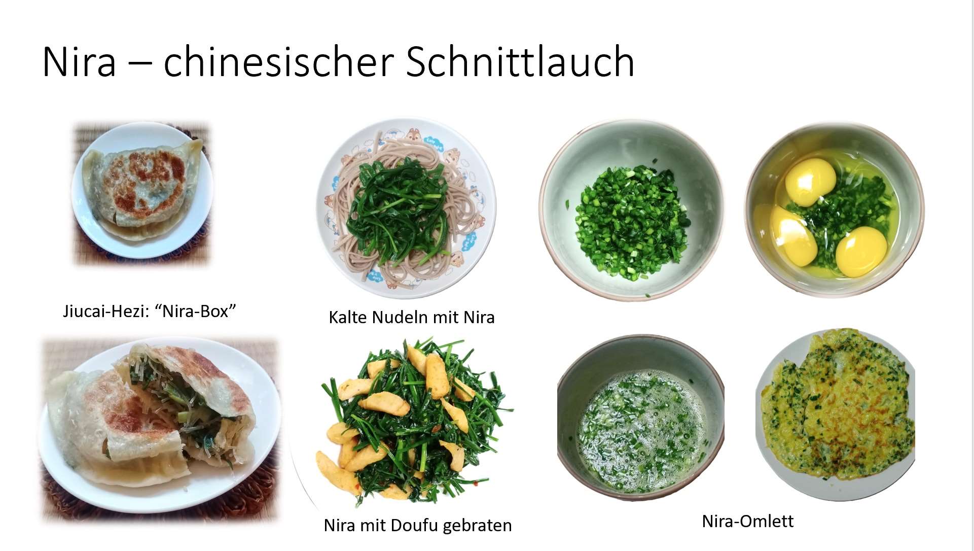 Nira - Chinesischer Schnittlauch