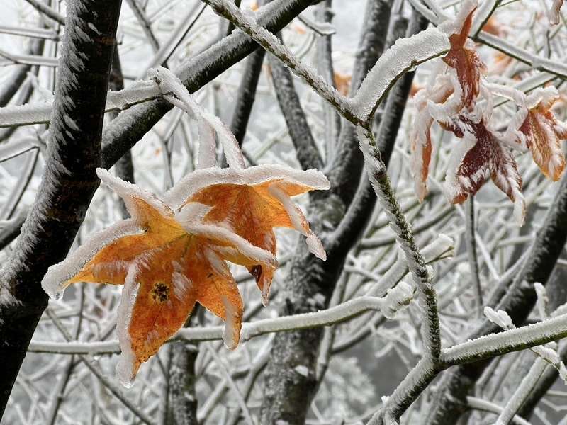 Winterstimmung in Taiwan (Foto: CNA)