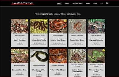 In memoriam Hans Breuer: Seine Webseite "Snakes of Taiwan" ist auf chinesisch und englisch verfügbar und sollte auf keinem Wanderausflug oder Nachtsafari fehlen (Screenshot)