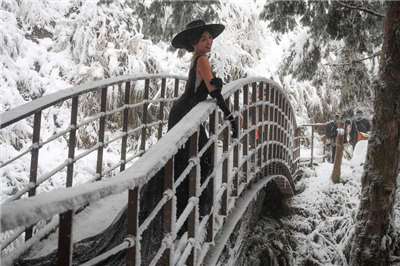 Schneelandschaft in Taiwan  (Foto: CNA)