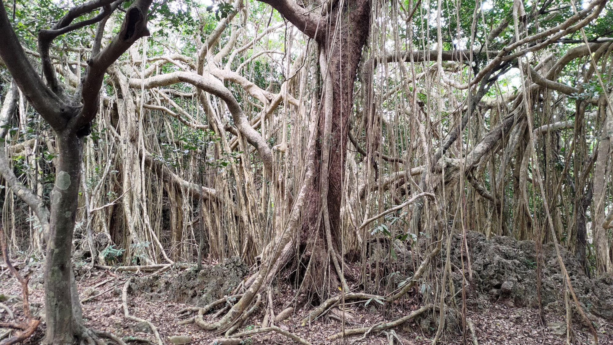 Kenting bietet mehr als nur Sandstrände. (Foto: privat) 