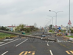 Statistiken zufolge sind in ganz Taiwan wegen Taifun Danas 2454 Strommasten umgestürzt. (Bereitgestellt von Taipower)