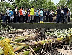 Schadensbegutachtung in einer Bananenplantage in Nantou (Foto: CNA)