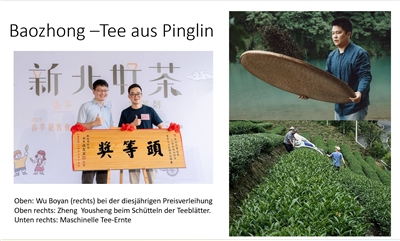 Baozhong-Tee aus Pinglin