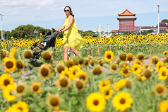 Noch sommerliche Temperaturen in Taipei (Foto: CNA)