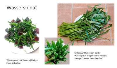 Wasserspinat