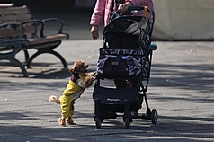 Die Zahl der Neugeborenen wird im Jahr 2025 voraussichtlich bei 107.812 liegen – ein neuer Tiefststand. Für viele Menschen sind Haustiere heutzutage eine Art "Kinderersatz".  (Bild: CNA)
