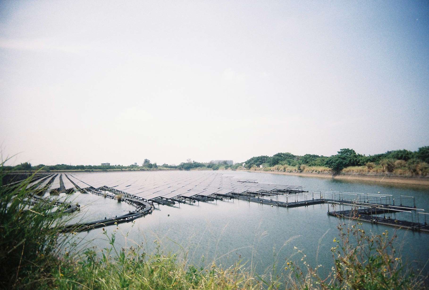 Korruptionsskandale und Desinformationen schwächen das Vertrauen der taiwanischen Bevölkerung in erneuerbare Energien. Das Foto zeigt schwimmende Solaranlagen in Taoyuan. (Foto: Juliane Miller)