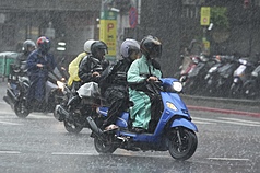 Pflaumenregensaison (Foto: CNA)