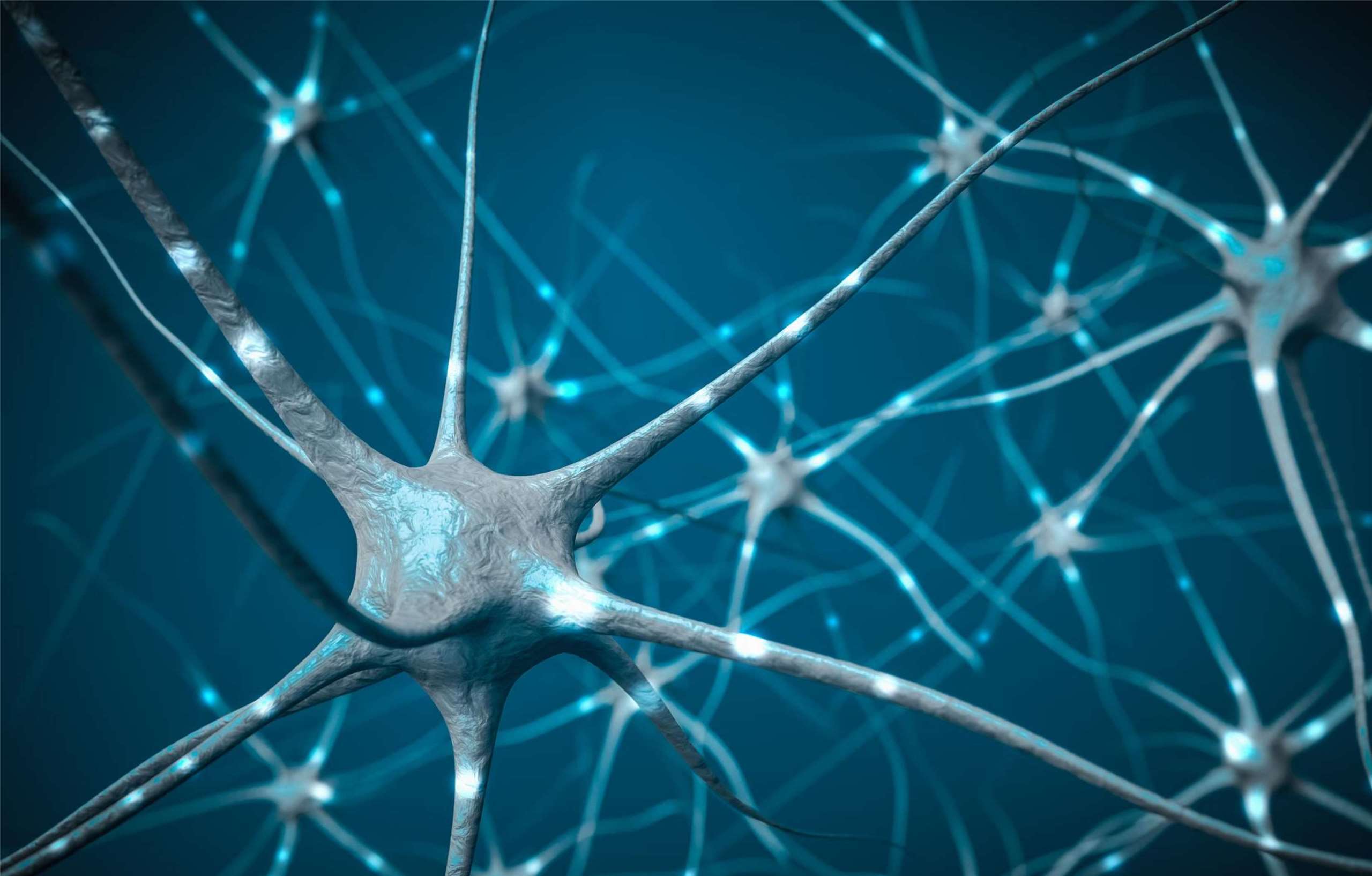 Illustration eines Netzwerks aus Nervenzellen. Störungen des intrazellulären Transports können bei verschiedenen neurologischen Erkrankungen eine Rolle spielen. (Illustration: VistaCreate)
