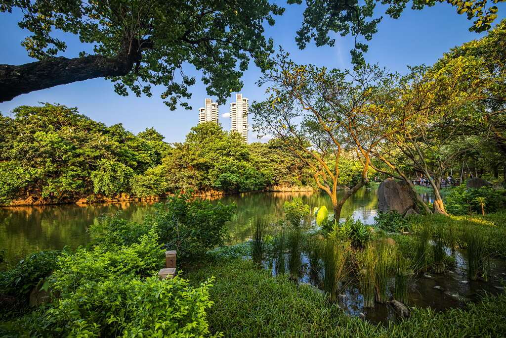 Der Daan-Park - die grüne Lunge Taipeis