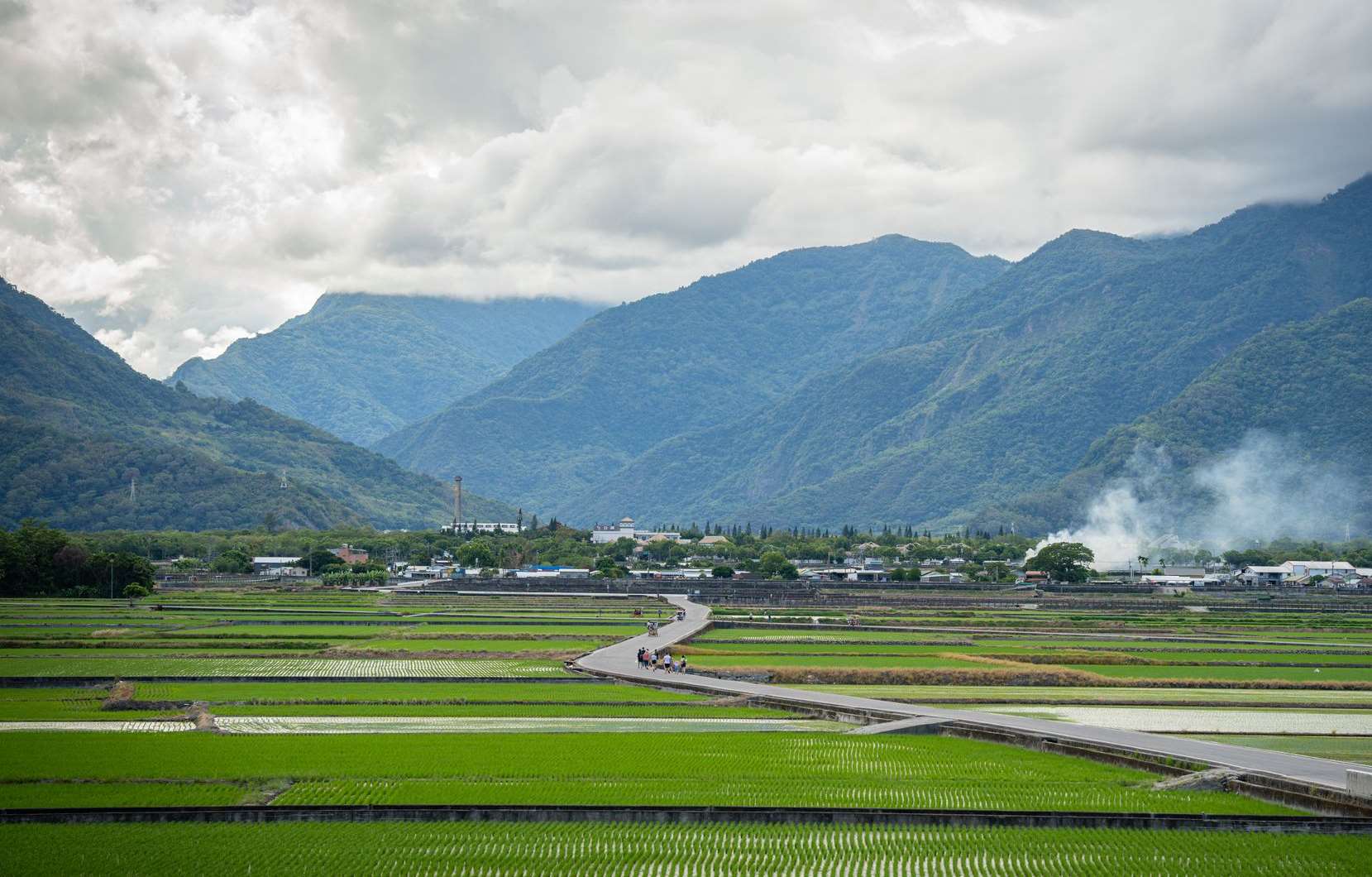 Reisfelder in Taitung, Taiwan. (Foto: ZhengXun Lin / Pexels)