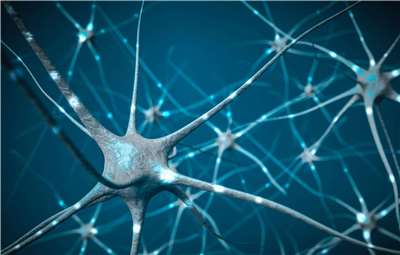 Illustration eines Netzwerks aus Nervenzellen. Störungen des intrazellulären Transports können bei verschiedenen neurologischen Erkrankungen eine Rolle spielen. (Illustration: VistaCreate)