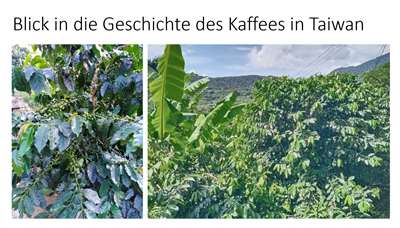 Blick in die Geschichte des Kaffees in Taiwan