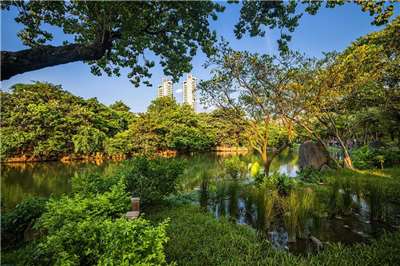 Der Daan-Park - die grüne Lunge Taipeis