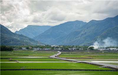 Reisfelder in Taitung, Taiwan. (Foto: ZhengXun Lin / Pexels)