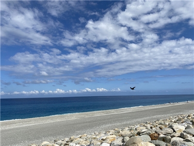 Der Qixingtan - der " Qixing-Strand, der Sieben-Sterne-Strand" an der Küste von Hualien in Osttaiwan (Foto: CNA)
