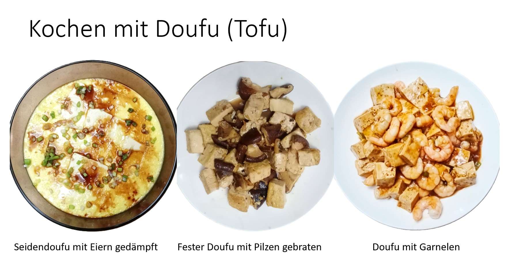 Kochen mit Doufu