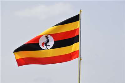 Fahne der Republik Uganda. (Foto: Unsplash)