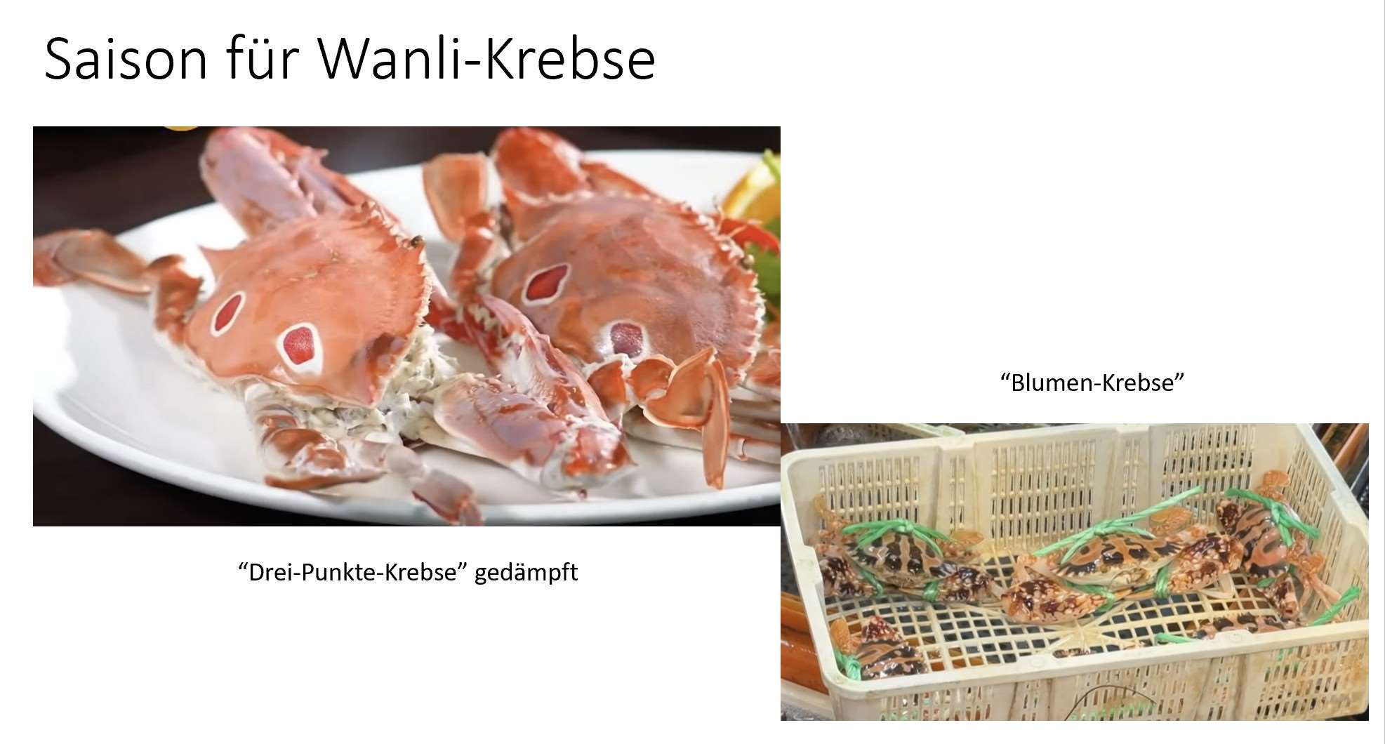 Saison für Wanli-Krebse