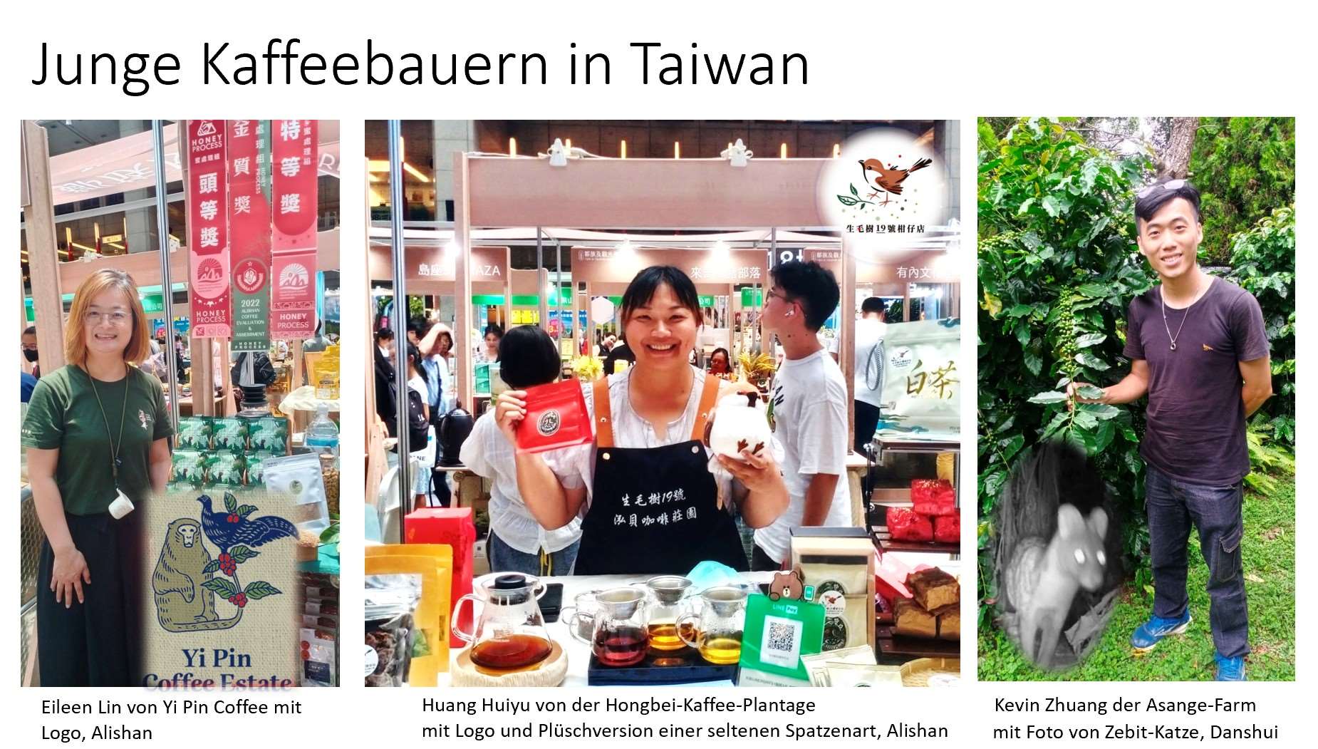 Junge Kaffeeanbauer in Taiwan