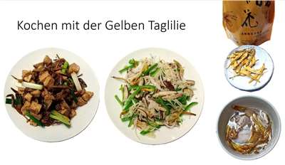 Kochen mit der Taglilie
