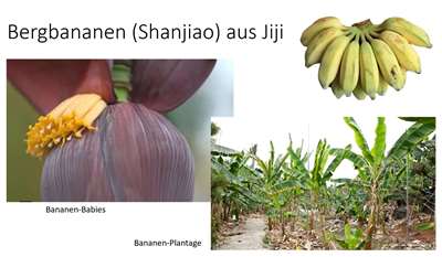 Bergbananen