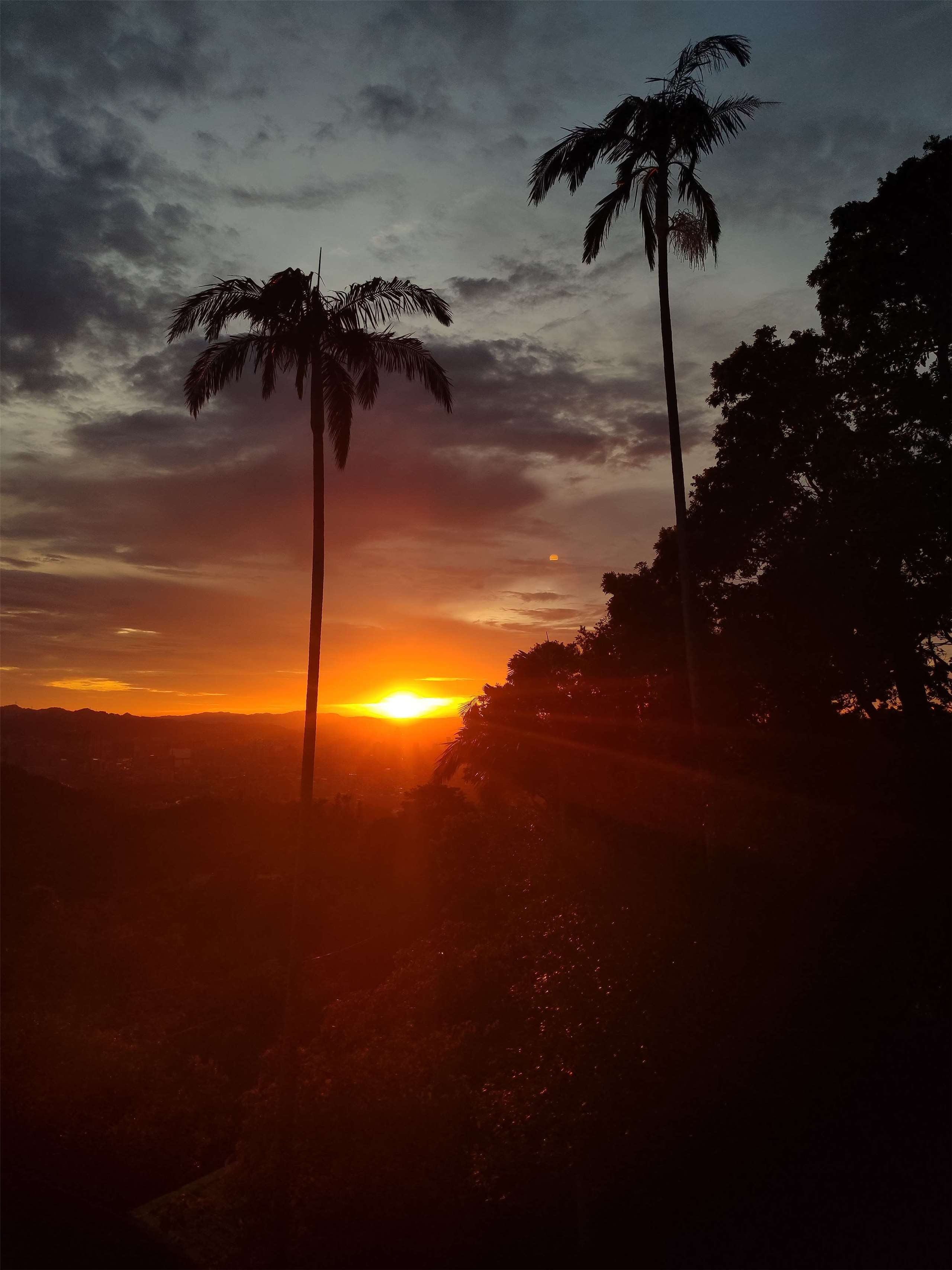Sara Savic hat nicht nur die Großstadt Taipei erlebt, sondern auch Taiwans Natur entdeckt. (Foto: Sara Savic)
