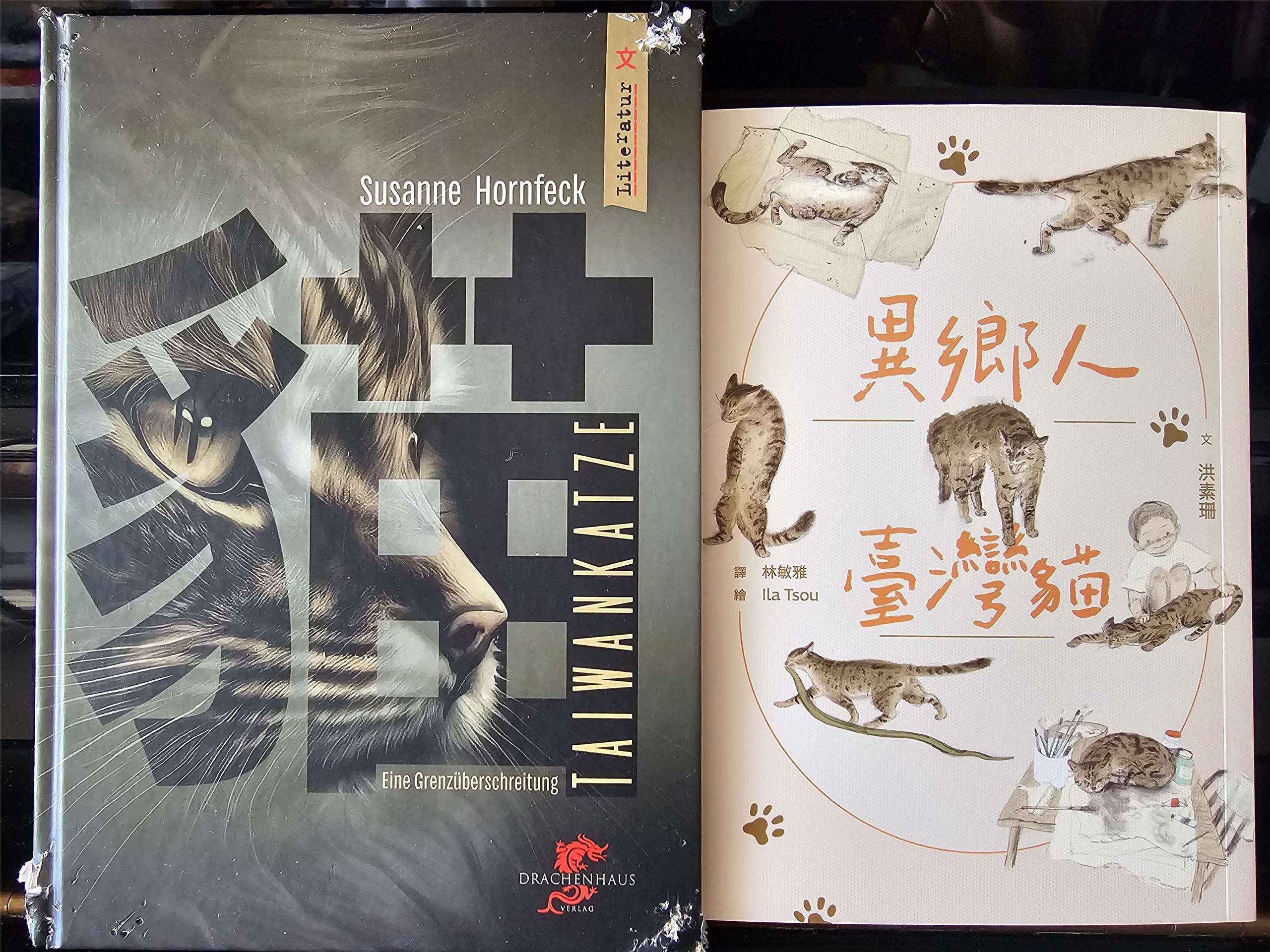 links: "Taiwankatze. Eine Grenzüberschreitung" in der deutschen Ausgabe von 2023 und rechts: die taiwanische Fassung mit Illustrationen (Auch meine Katze war sehr begeistert von Susannes Buch und hat sich intensiv damit beschäftigt, wie man an den Buchecken unschwer erkennen kann!)