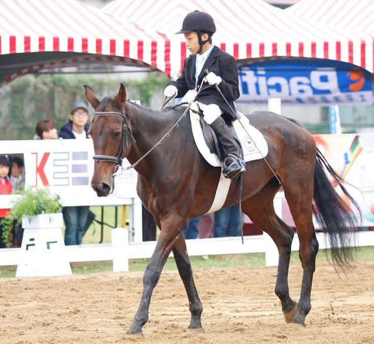 Reiterhof (Foto: Uta Rindfleisch)