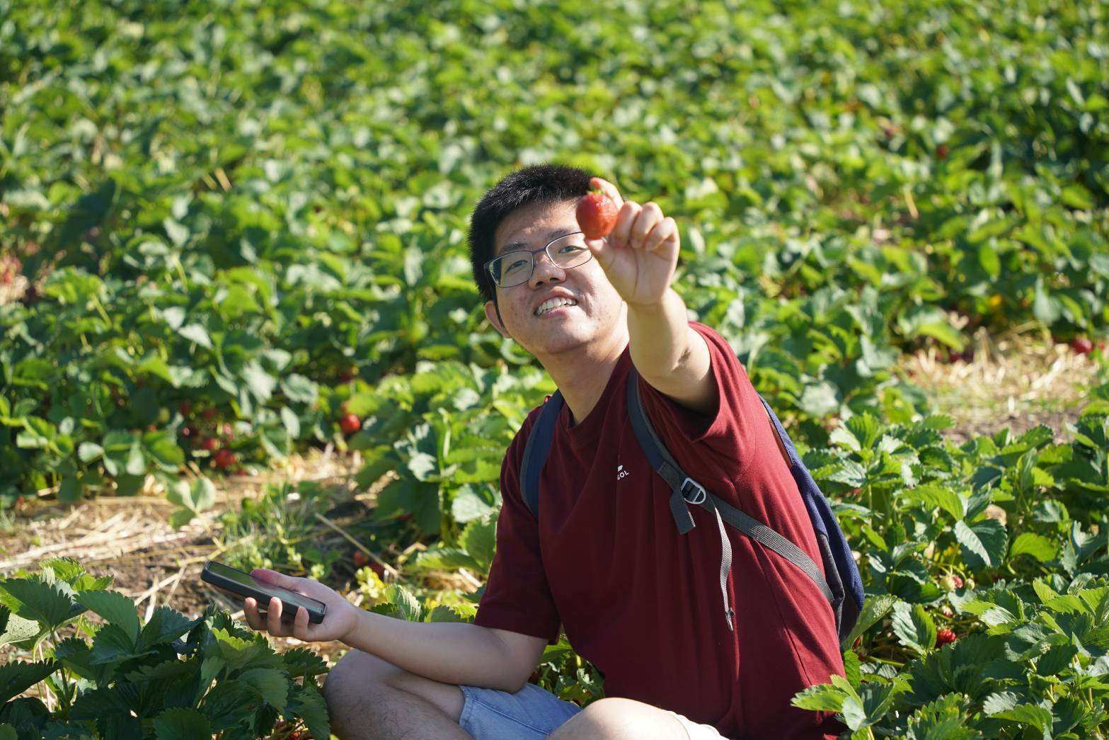 Paul Wang auf einer Erdbeerfarm (Foto: Paul Wang)