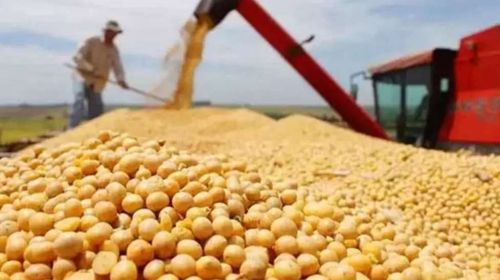 American farmers harvesting soybeans. (Image taken from the Internet)