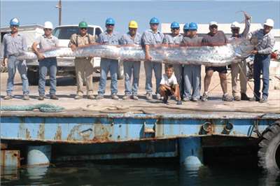 Twelve men holding an oarfish. (Photo: Extreme Science)