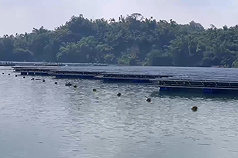 The photovoltaic panels cover only 1.12% of the reservoir, and the project is estimated to generate 17 million kilowatt-hours of electricity annually. (Photo: CNA)