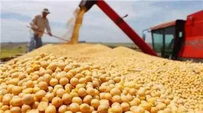American farmers harvesting soybeans. (Image taken from the Internet)