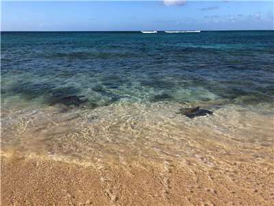 Hawaiian ocean... (Photo: Michelle Chiang)