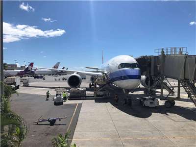 Airplane! (Photo: Michelle Chiang)