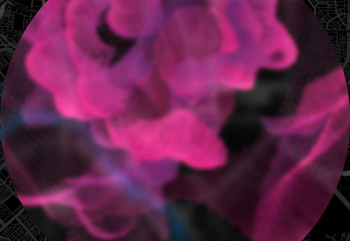 Light and sound are powerful influences on our daily lives! (Photo: Naia)