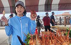 LG
菊島澎湖跨海馬拉松賽　陳玉秀行銷澎湖海鮮
觀光署長陳玉秀首度參加菊島澎湖跨海馬拉松賽，除
盛讚是全台唯一「跨海+跳島」馬拉松賽事，最能深
度探索城市美景外，在暖身陪跑中介紹澎湖在地花枝
丸與龍蝦，歡迎所有跑者可停下來好好品味一番，感
受澎湖海鮮美味。
中央社   114年11月2日
