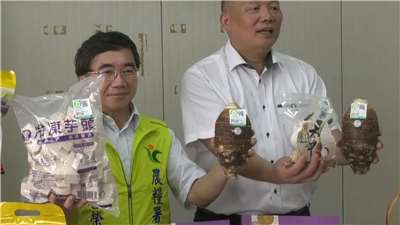 The taro cultivation modernization campaign is presented in Dajia, Taichung (Photo: Video screenshot)