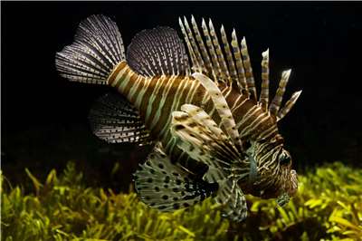 (Photo: ClickerHappy on Pexels)