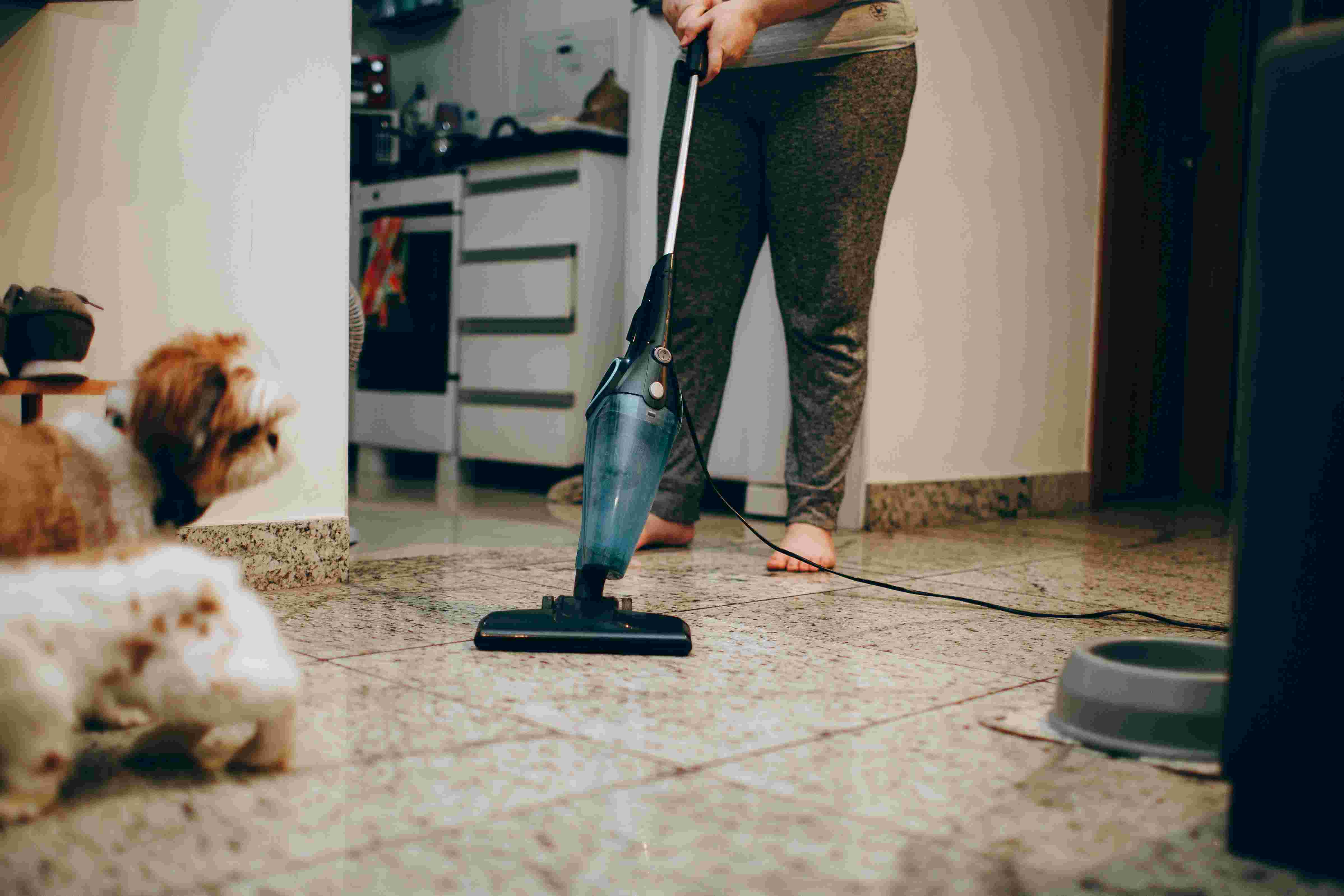 Why dogs are afraid of vacuum cleaners | Ep51