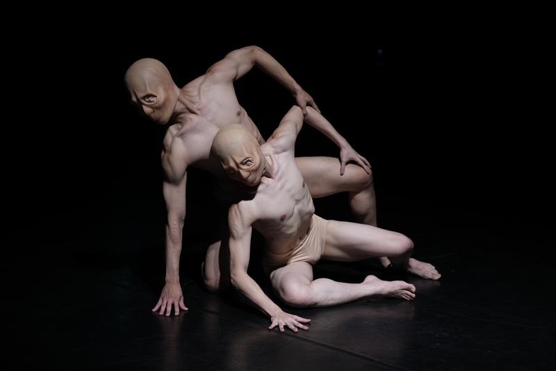 Head first: Exploring English expressions with body parts above the neck
