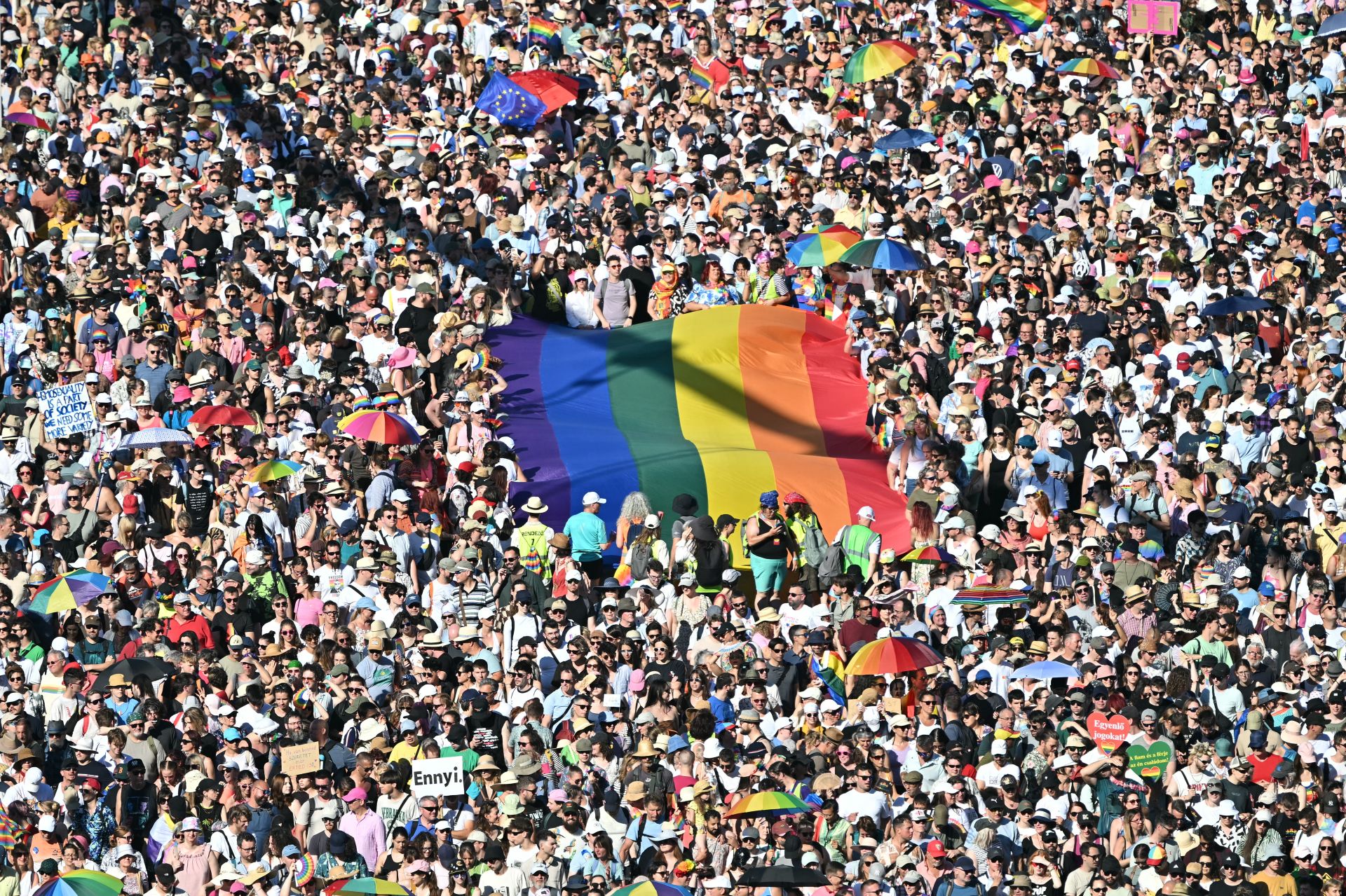 AI versus IP, and Budapest's incredible Pride