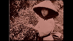 Captured on celluloid, the seven-minute film offers a vivid look at Taiwan during the Japanese colonial era, showcasing architecture, folk customs, agricultural scenes, Indigenous life, and signs of colonial rule. (Photo: TFAI)
