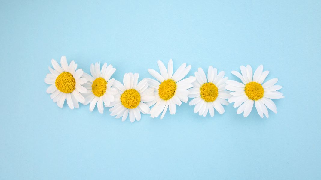 Spicy Summer: Things We Never Got Over Spicy Summer: Things We Never Got Over