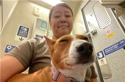 Roux is high on sedatives for a train ride! (Photo: Michelle Chiang)