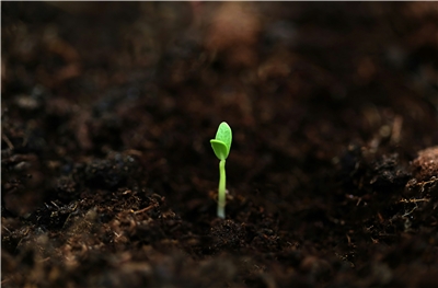 New beginnings! (Photo: Fahim Mohammed via Unsplash)