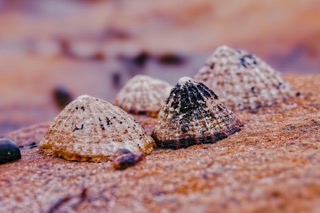 (Photo: Graeme Travers on Pexels)